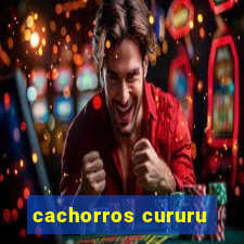 cachorros cururu